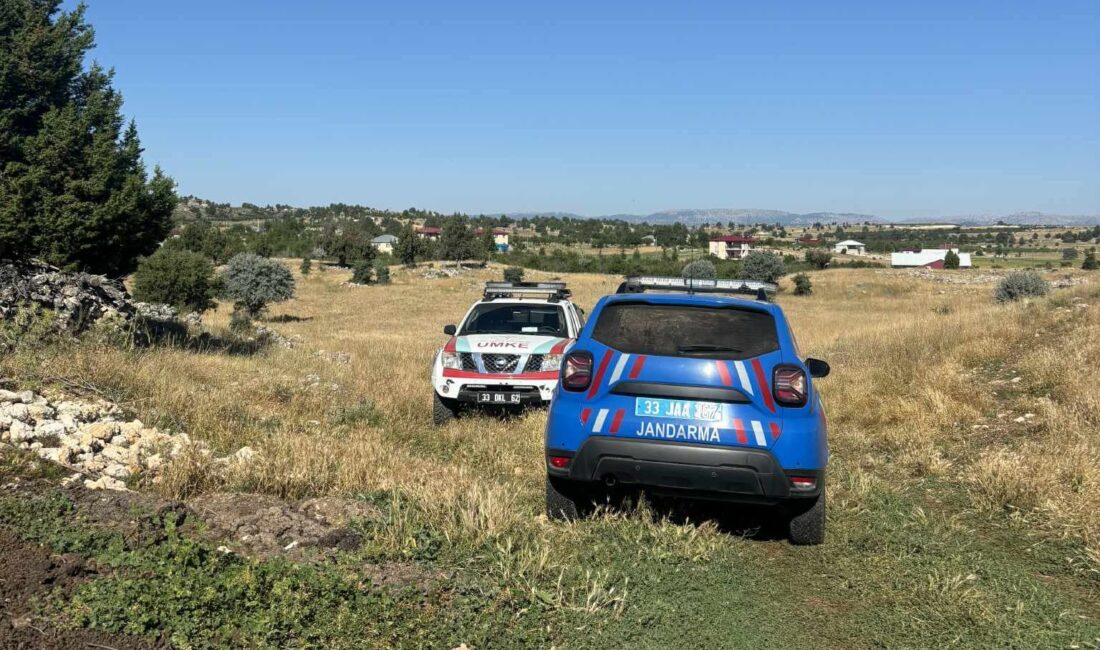Mersin’in Bozyazı ilçesinde kayıp kadın için başlatılan arama çalışmaları aralıksız