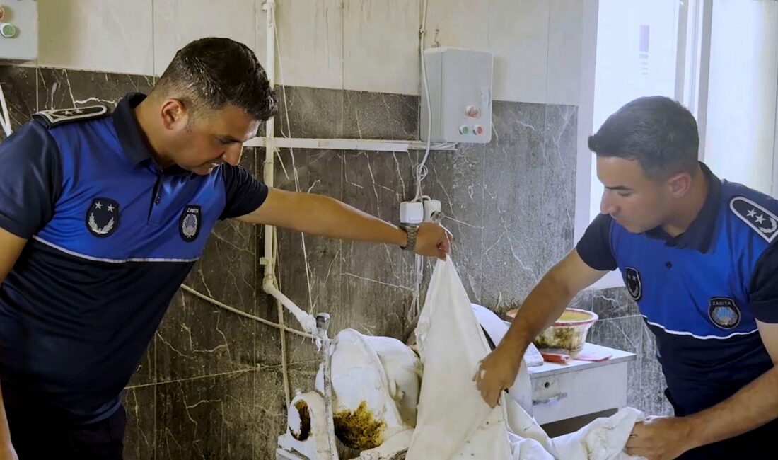 Tarsus’ta fırın denetimlerinde haşereli hamur tespit edildi Tarsus Belediyesi ekiplerinin kent genelindeki pide pişirim ve simit fırınlarında