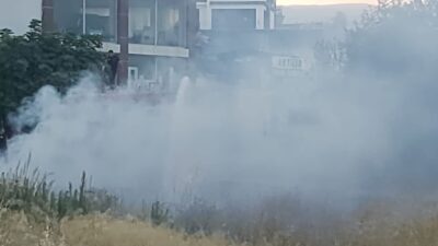 Mersin’in Erdemli ilçesinde boş arazide çıkan yangın, bahçeye sıçramadan itfaiye