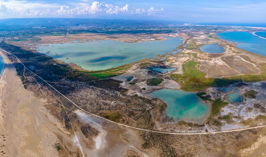 Deniz kaplumbağaları koruma alanında kural ihlallerine 699 bin TL ceza Mersin’in Silifke ilçesinde deniz kaplumbağalarının koruma alanında yaşanan kural ihlaline