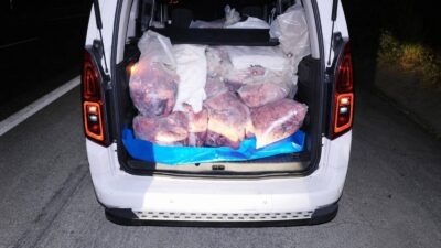Mersin‘de jandarma ekiplerince gerçekleştirilen yol kontrolünde, irsaliyesiz, veteriner sağlık raporu