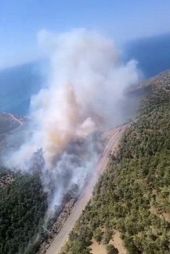 Mersin‘in Aydıncık ilçesinde ormanlık alanda çıkan yangına, Mersin Orman Bölge Müdürlüğü ekipleri