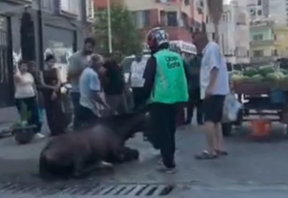 Mersin’de vicdanları sızlatan bir olay yaşandı. Mersin Büyükşehir Belediyesi İtfaiye