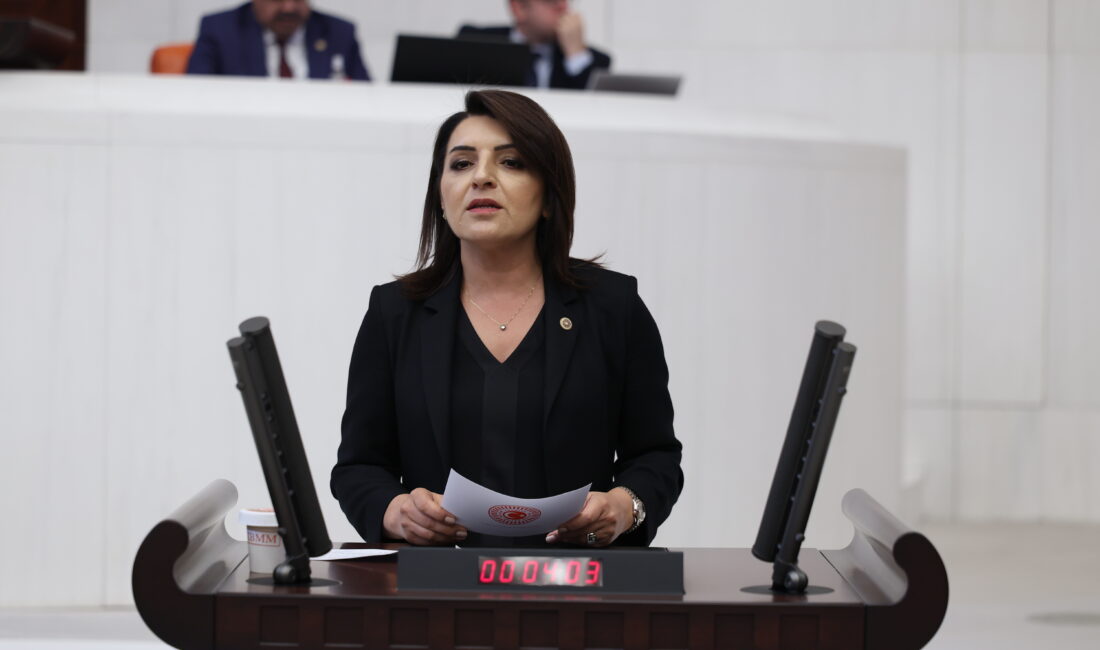 Gülcan Kış: “AKP, Millete Tasarrufu, Bütçeye Faizi Reva Gördü” CHP Mersin Milletvekili Gülcan Kış, TBMM Genel Kurulu’nda Hazine’nin hızla