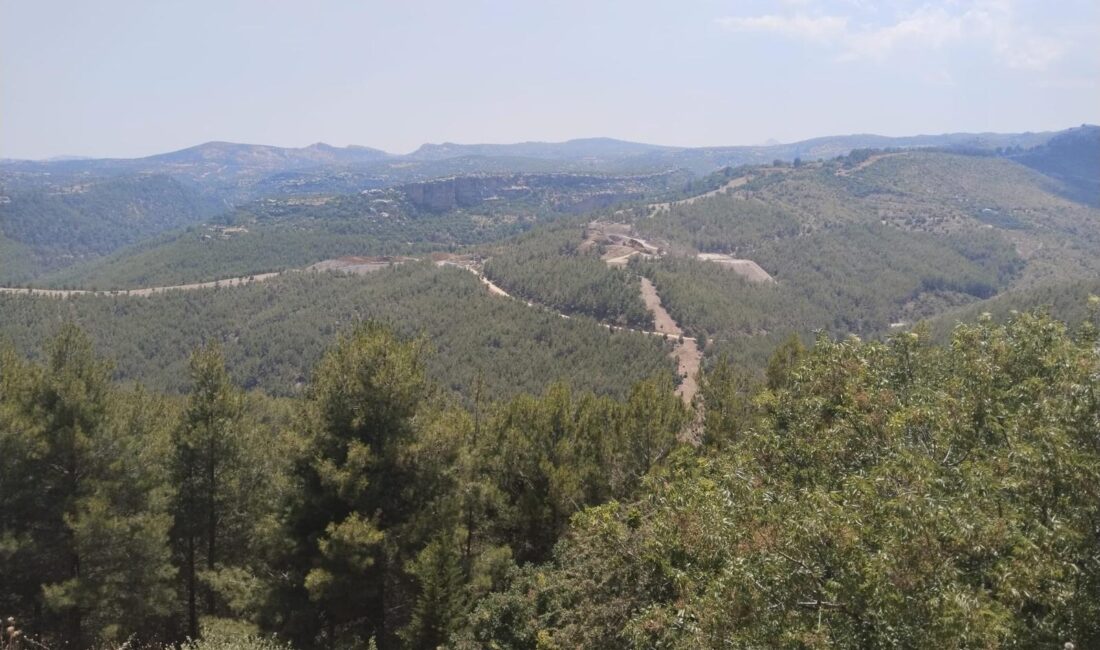 Yaz ayına girilmesi ile birlikte su kaynakları yetersiz olan orman