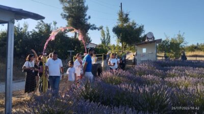 Dünyada ve Türkiye’de Akdeniz kültürünün en köklü koku üreten süs