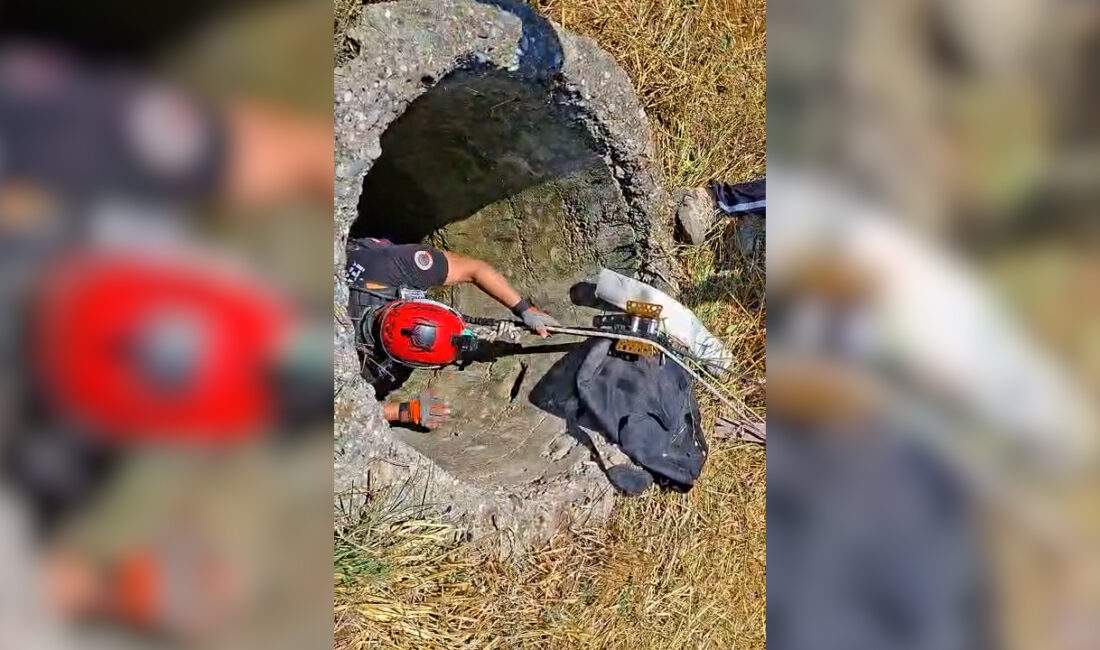 Mersin’in Çamlıyayla ilçesinde, çiftçi Baki Öksüz’e ait bir keçinin tarlada