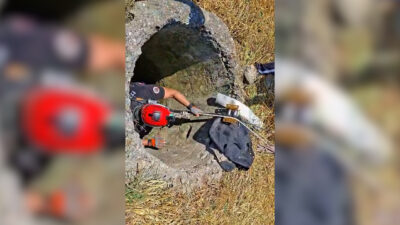 Mersin’in Çamlıyayla ilçesinde, çiftçi Baki Öksüz’e ait bir keçinin tarlada