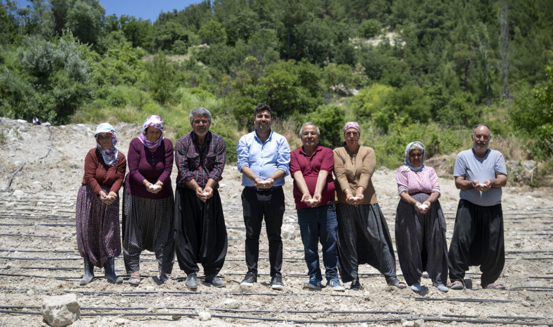 MERSİN BÜYÜKŞEHİR LEKLEK FASULYESİNİ CANLANDIRMAK İÇİN DESTEĞİNİ SÜRDÜRÜYOR Mersin Büyükşehir Belediyesi Tarımsal Hizmetler Dairesi Başkanlığı, yerel tohumların korunması