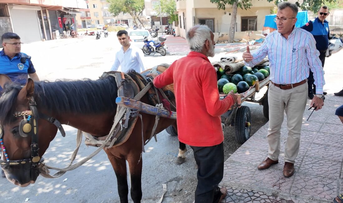 Mersin’in Akdeniz ilçesinde karpuz yüklü arabayı çekerken aşırı sıcaklar ve