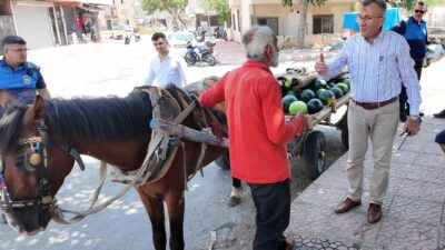 Mersin’in Akdeniz ilçesinde karpuz yüklü arabayı çekerken aşırı sıcaklar ve