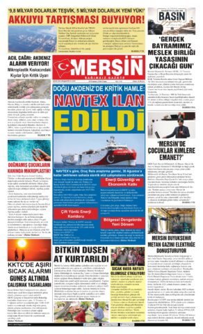 Yayın