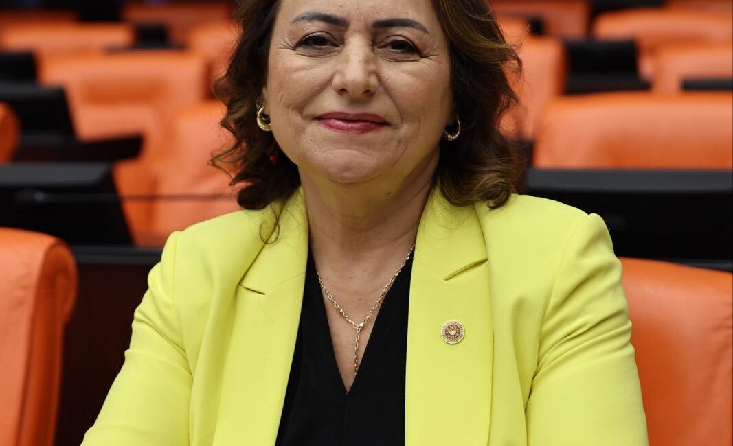 CHP Adana Milletvekili, TBMM Başkanlık Divanı Üyesi Dr. Müzeyyen Şevkin,