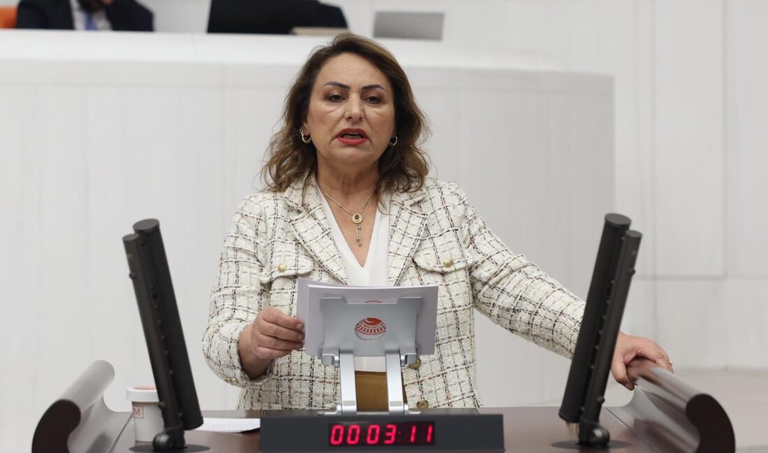 “NATO Zirvesi güvenlik gerekçesiyle hukuk devleti ilkesi zedelenmemeli” CHP Adana Milletvekili, TBMM Başkanlık Divanı Üyesi Dr. Müzeyyen Şevkin,