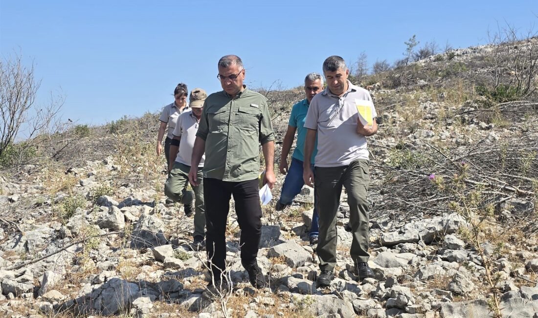 Mersin Orman Bölge Müdür Yardımcısı Sinan Saatçı ve Ağaçlandırma Şube