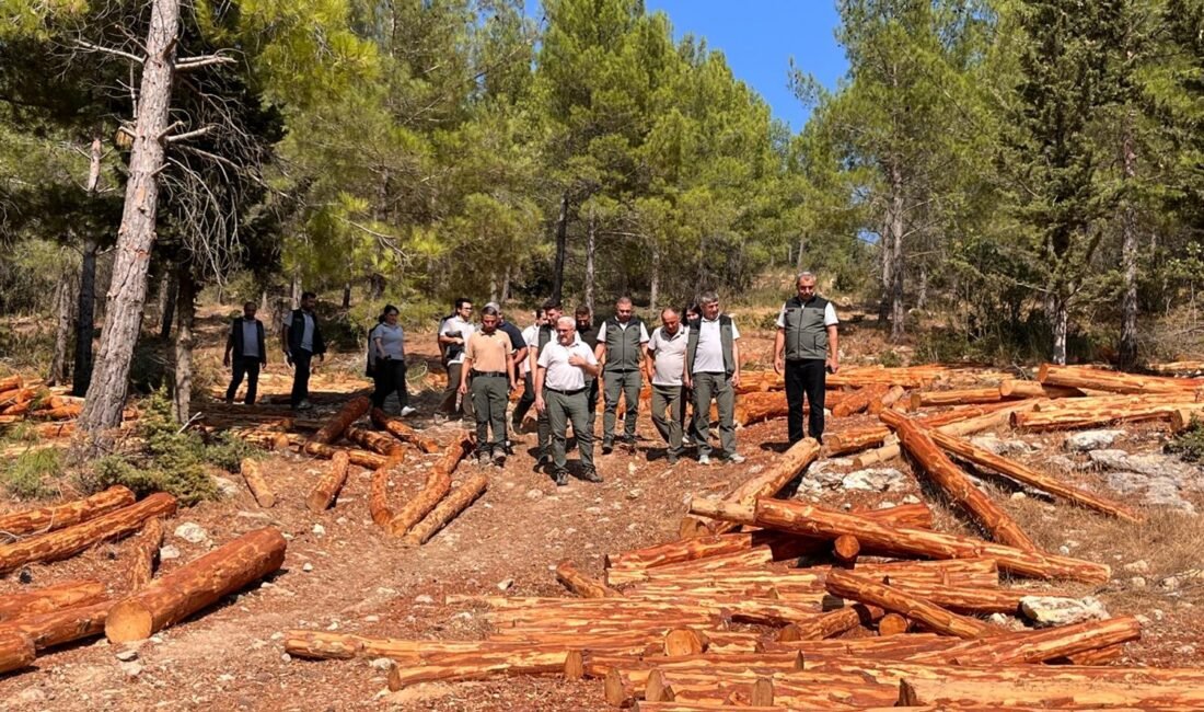 Silifke’de Ormancılık Çalışmaları Yerinde İncelendi Mersin Orman Bölge Müdürü Sayın Zafer Kızıl, Bölge Müdür Yardımcısı