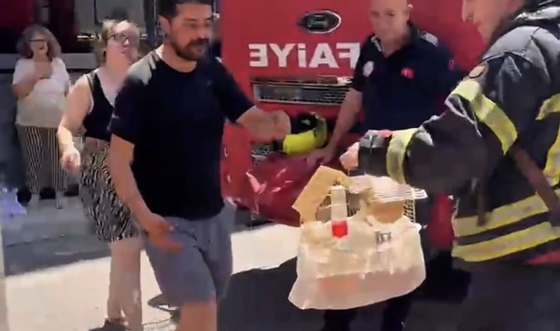 Mersin’de yangında mahsur kalan cennet papağanını itfaiye kurtardı Mersin‘de bir apartman dairesinde çıkan yangın, itfaiye ekiplerinin hızlı müdahalesiyle