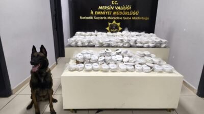 Mersin Cumhuriyet Başsavcılığı koordinesinde gerçekleştirilen operasyonlar kapsamında piyasa değeri 13 milyon