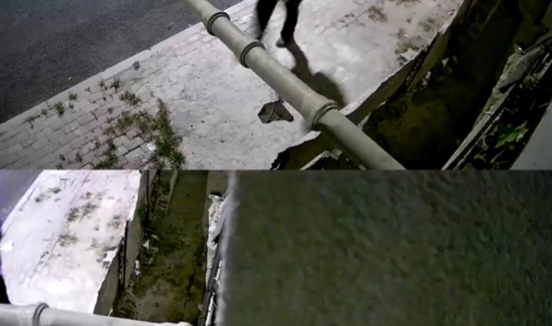 Mersin’in Tarsus ilçesinde bir kişi boğazında bıçakla yaralandı. Saldırganlar kısa