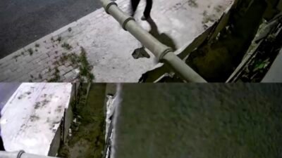 Mersin’in Tarsus ilçesinde bir kişi boğazında bıçakla yaralandı. Saldırganlar kısa