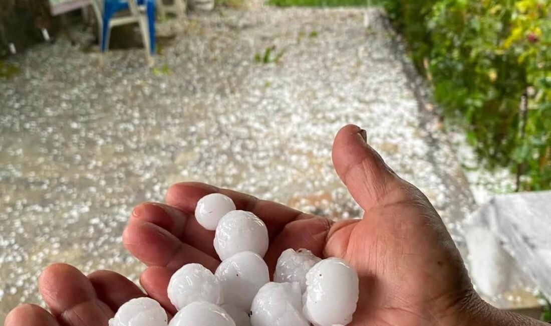 Mersin’de dolu yağışı etkili oldu Mersin‘in Erdemli ilçesinin yüksek kesimlerinde dolu yağışı etkili oldu. Tarım