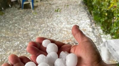 Mersin‘in Erdemli ilçesinin yüksek kesimlerinde dolu yağışı etkili oldu. Tarım