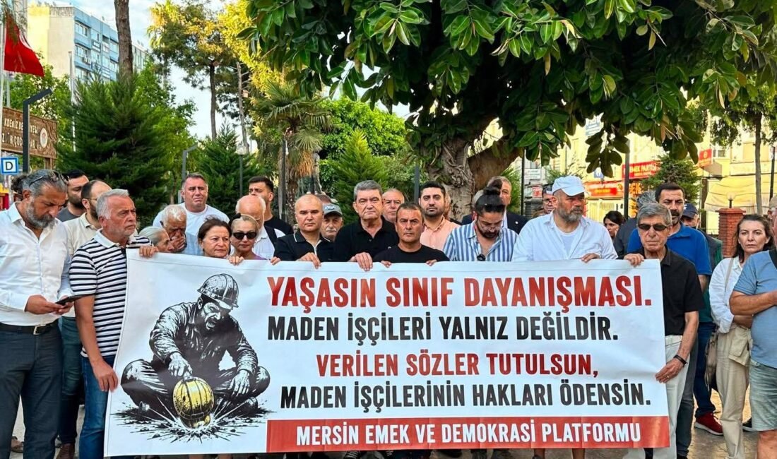 Mersin Emek ve Demokrasi Platformu, Yıldızlar SSS Holding bünyesindeki Doruk