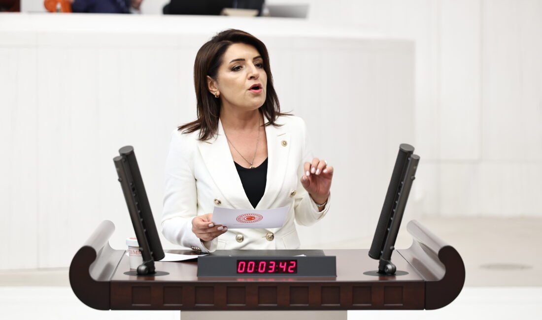 CHP Mersin Milletvekili Gülcan Kış, Hazine ve Maliye Bakanlığının 2026