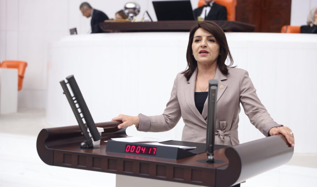 “ASGARİ ÜCRETLİNİN CEBİNDEN 7 AYDA 5 BİN 575 LİRA BUHAR OLDU!” CHP Mersin Milletvekili Gülcan Kış, Türkiye İstatistik Kurumu’nun (TÜİK) açıkladığı