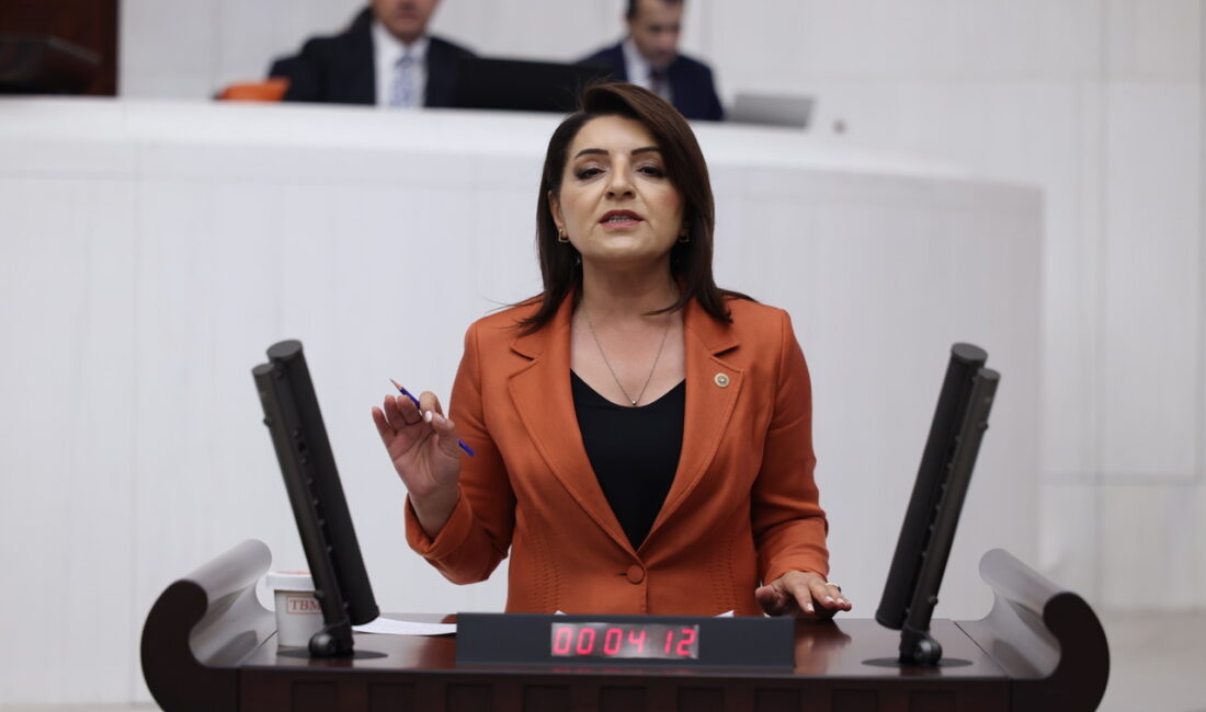CHP Mersin Milletvekili Gülcan Kış, Türkiye Büyük Millet Meclisi Genel