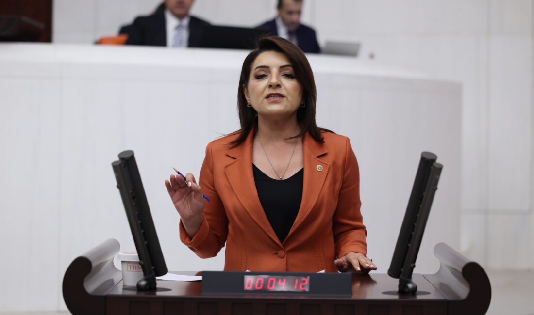 TÜRKİYE’DE HER GÜN 28 BİN YENİ İCRA DOSYASI AÇILIYOR! CHP Mersin Milletvekili Gülcan Kış, ücret ve aylıklardaki erimeyle icra