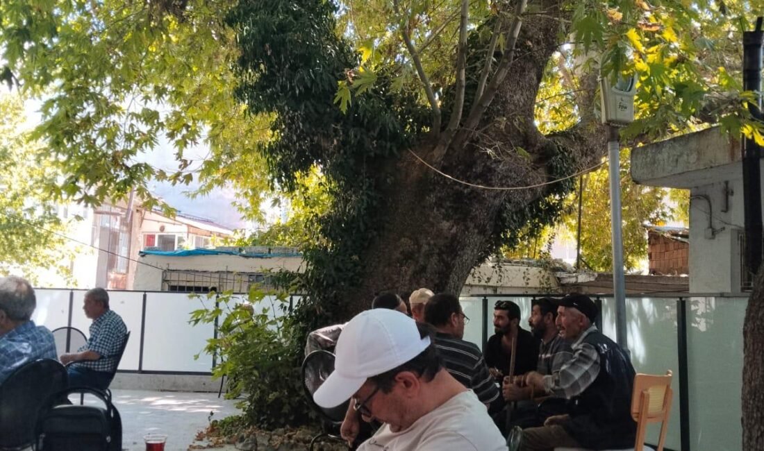 Akdeniz’in bunaltıcı yaz sıcaklarından kurtulmak isteyen vatandaşlar, Torosların serin yaylalarında