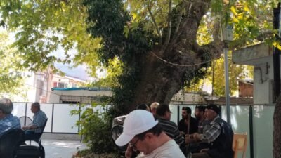 Akdeniz’in bunaltıcı yaz sıcaklarından kurtulmak isteyen vatandaşlar, Torosların serin yaylalarında