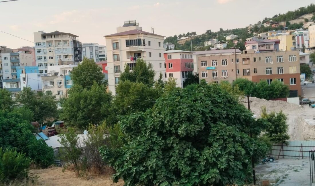 GÜLNAR’DA SİVRİSİNEK ALARMI: MÜCADELE ARTIRILSIN! Mersin’in yayla kenti Gülnar’da yaz aylarıyla birlikte artan nüfus, sivrisinek