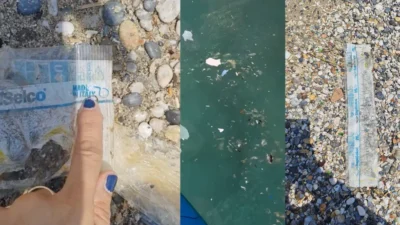 ALANYA VE ANTALYA KIYILARINDA DA EKO SİSTEM ÇÖKÜŞTE! GENİŞ ÇAPLI SUÇ DUYURULARI YAPILACAK