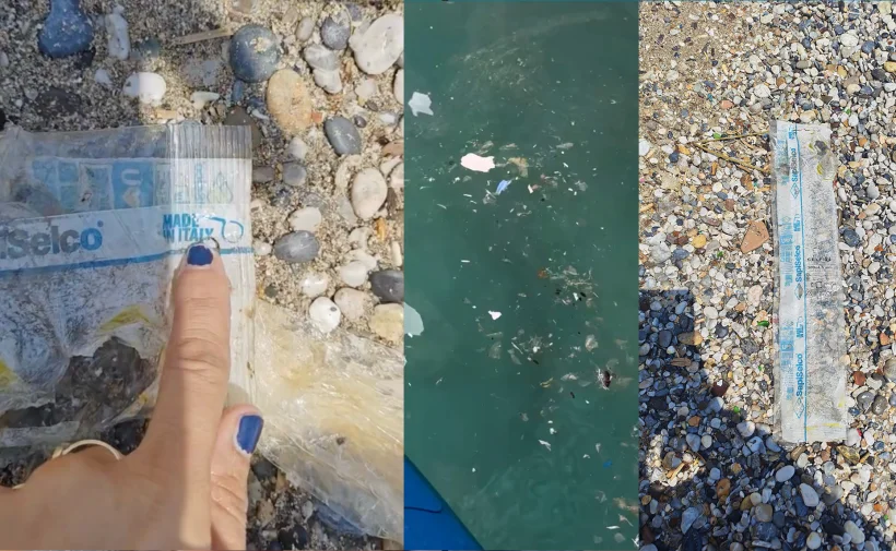 ALANYA VE ANTALYA KIYILARINDA DA EKO SİSTEM ÇÖKÜŞTE! GENİŞ ÇAPLI SUÇ DUYURULARI YAPILACAK