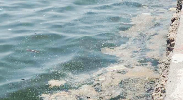 Akdeniz sahillerini saran plastik, mikroplastik ve nanoplastik kirliliği, çevre sorunu