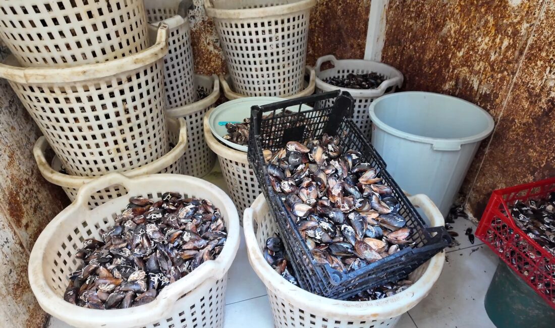 Mersin’in Akdeniz ilçesinde halk sağlığını tehdit eden büyük bir gıda