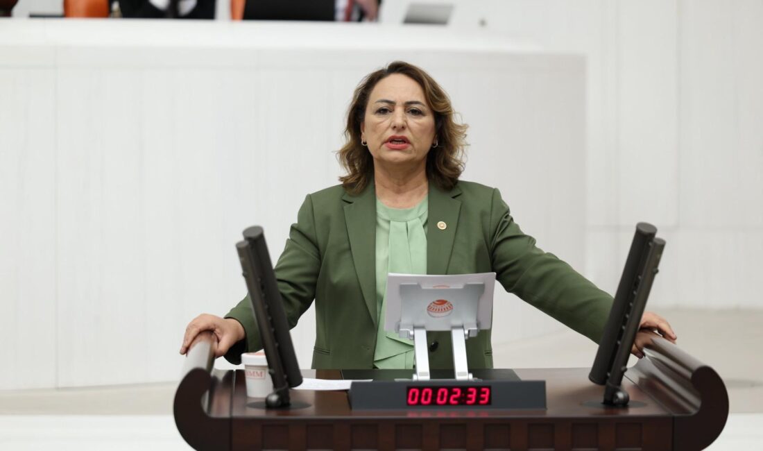 “Ortadoğu Barış ve İşbirliği Teşkilatı kurulmalıdır” CHP Adana Milletvekili, TBMM Başkanlık Divanı Üyesi Dr. Müzeyyen Şevkin,