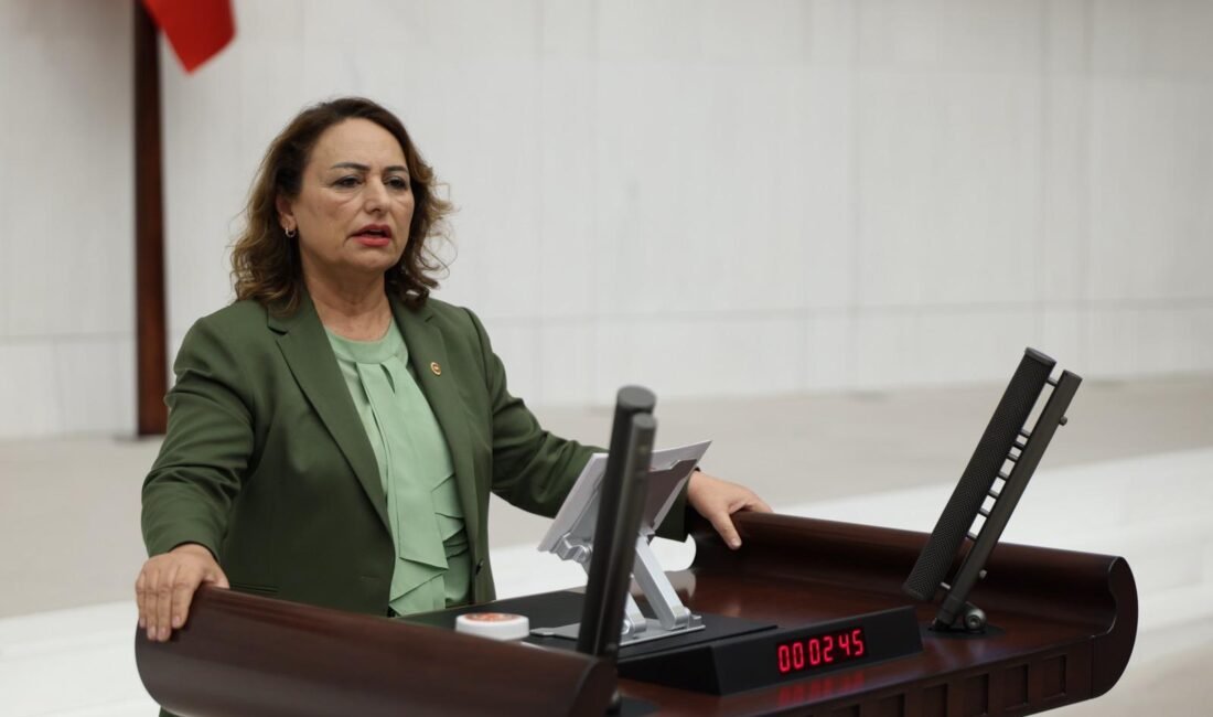 Cumhuriyet Halk Partisi (CHP) Adana Milletvekili, TBMM Başkanlık Divanı Üyesi