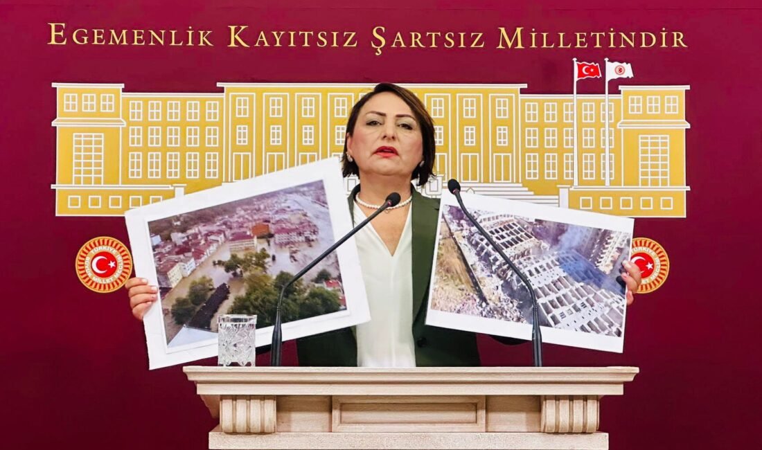 “Deprem öncesi, deprem anı ve sonrası için devlet politikası şart!” CHP Adana Milletvekili, TBMM Başkanlık Divanı Üyesi, Jeoloji Yüksek Mühendisi