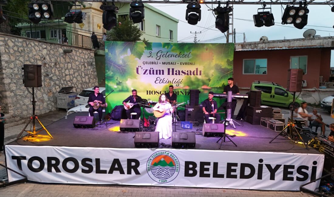 Mersin’in Toroslar ilçesinde üreticilerin aylar süren emeği, 3. Üzüm Hasadı