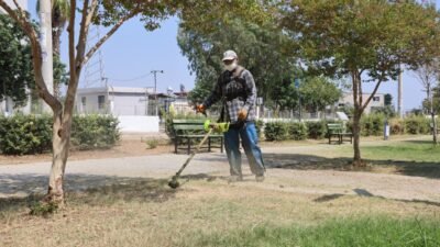 Mersin’in yeşil dokusuyla öne çıkan ilçelerinden Toroslar’da, vatandaşların doğayla iç