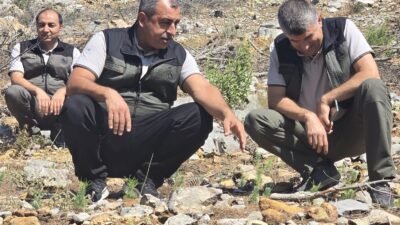Mersin Orman Bölge Müdürü Sayın Zafer Kızıl, 2025 yılında yangınlardan