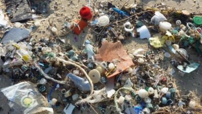 Mersin Çevre Platformu’nun çağrısı şöyle:🌊 Denizine Sahip Çık!
📢 CİMER’e Yaz!
📢