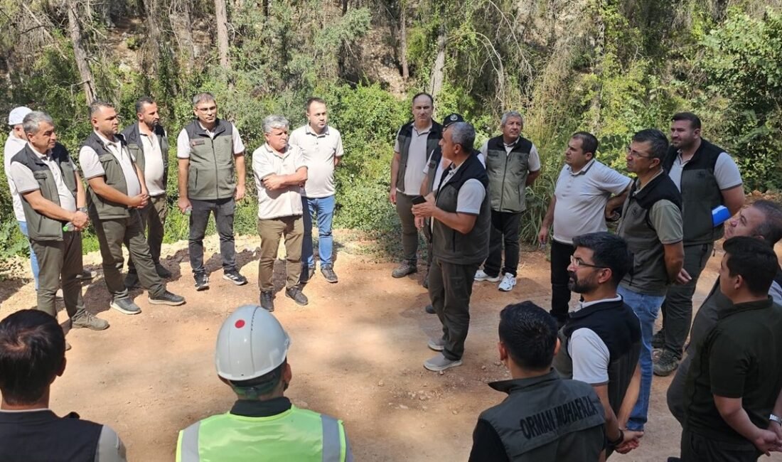 Orman Yangınına Karşı Orman Yollarında Güvenli Hat Ormanların yangınlardan korunmasına yönelik çalışmalar aralıksız devam ediyor. Bu kapsamda,
