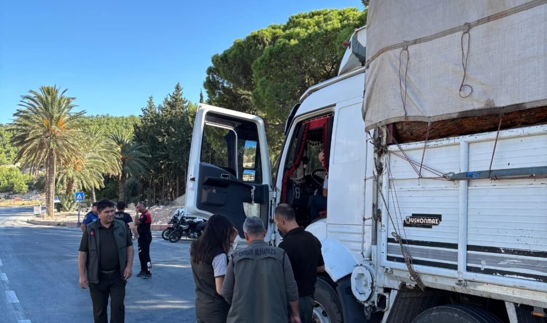 Mersin Orman Bölge Müdürlüğüne bağlı Silifke Orman İşletme Müdürlüğünce, ormanların