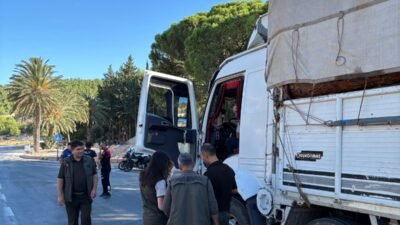 Mersin Orman Bölge Müdürlüğüne bağlı Silifke Orman İşletme Müdürlüğünce, ormanların