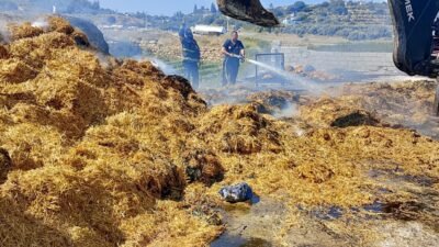 Tarsus’ta saman balyalarının olduğu alanda yangın Mersin’in Tarsus ilçesinde saman balyalarının yığılı olduğu alanda çıkan yangın