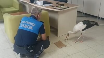 Mersin’in Akdeniz ilçesine bağlı Kazanlı Mahallesi’nde bir iş yerinin bahçesinde
